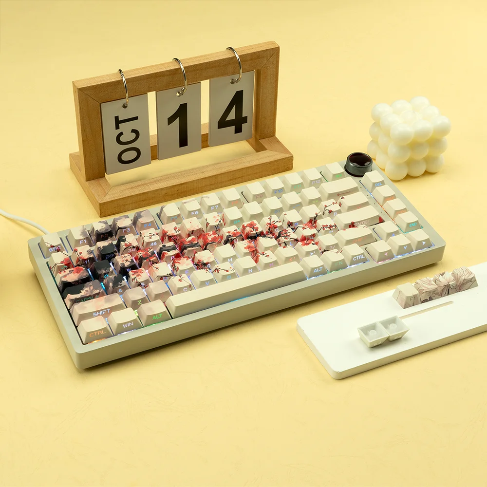 XVX Plum Blossom Cherry Profile PBT Keycaps – 131 Key Mechanical Keyboard Keycap Set - Image 28